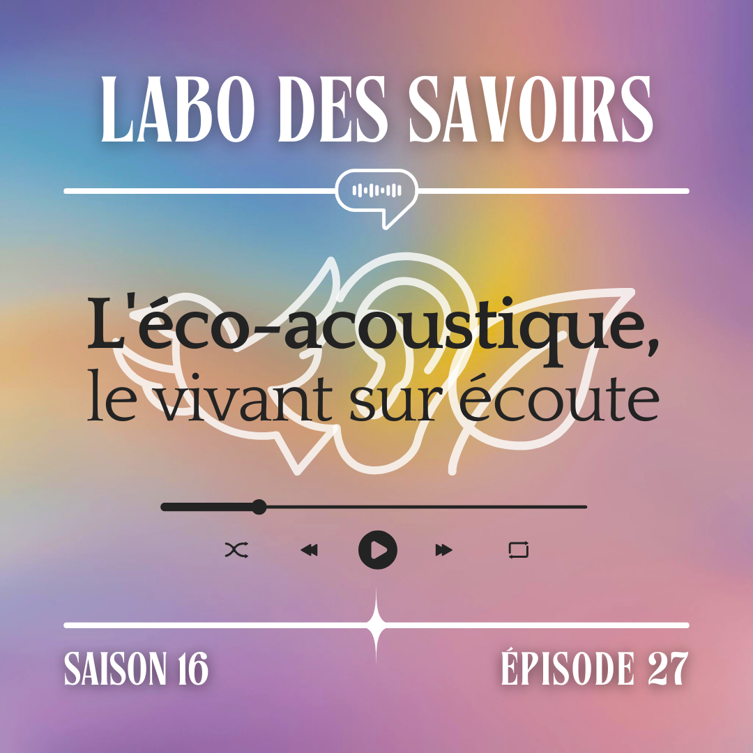 L'éco-acoustique : le vivant sur écoute