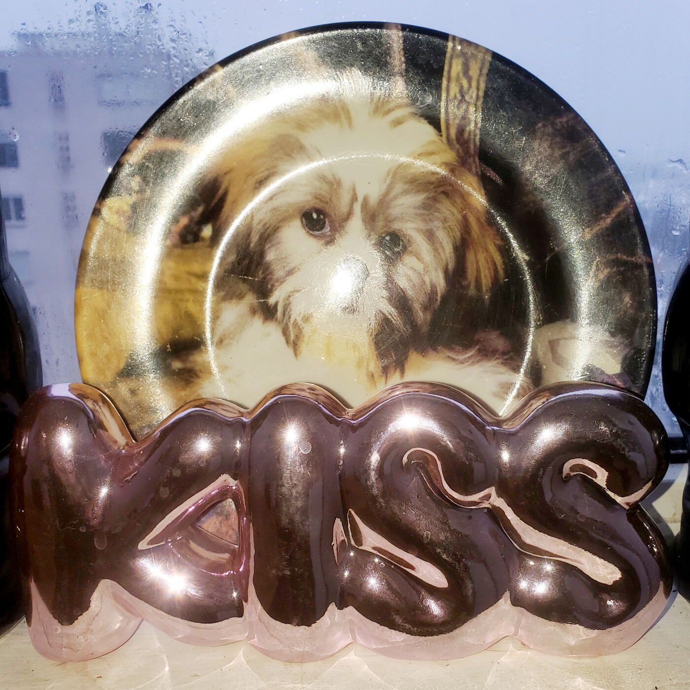 ZOOMIES janvier 2026