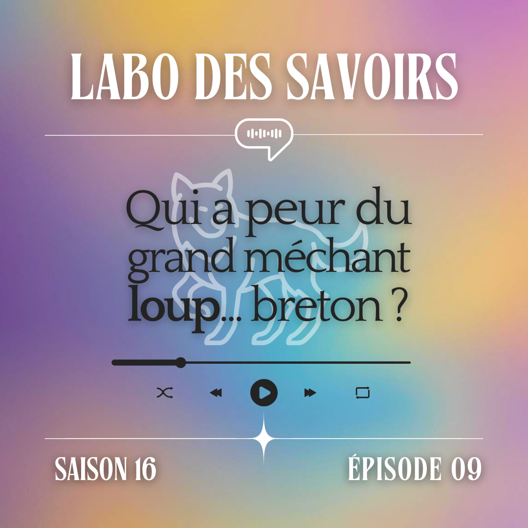 Qui a peur du grand méchant loup... breton ?