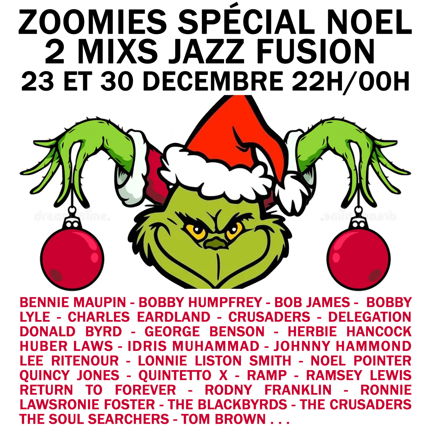 Zoomies spécial Noël